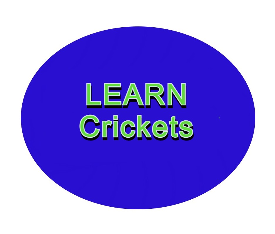 LEARN Crickets