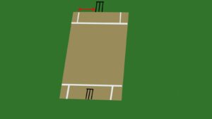 Wide ball in cricket